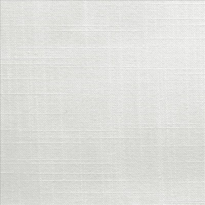 Kasmir MCDOWELL         OPTIC WHITE     